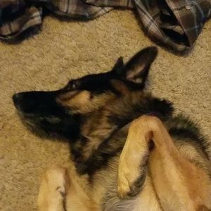 Meet your Posher, Thomas